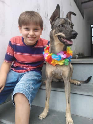 Foto de um cachorro com um menino